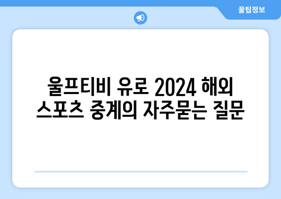 울프티비 유로 2024 해외 스포츠 중계