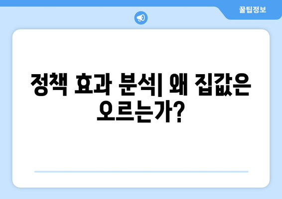 정부 부동산 정책의 효과: 예상 밖의 집값 상승 현상 해석