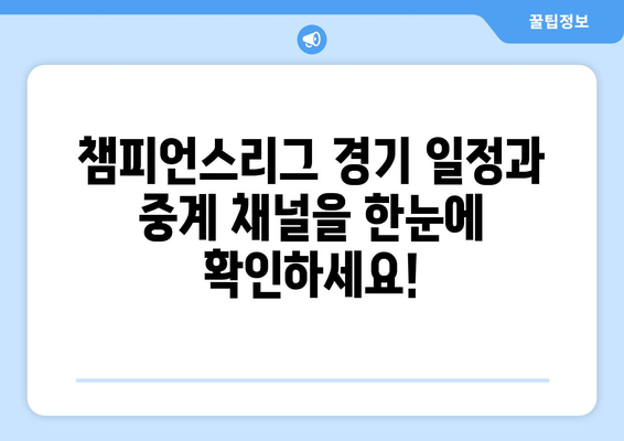 챔피언스리그 중계 및 해외 스포츠 실시간 중계 정보