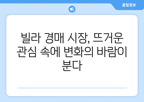 빌라 경매 시장의 변동성: 투자자들이 주목해야 할 포인트