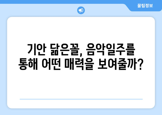 음악일주 새 출연자 소개, 기안과 비슷한 외모의 얼굴