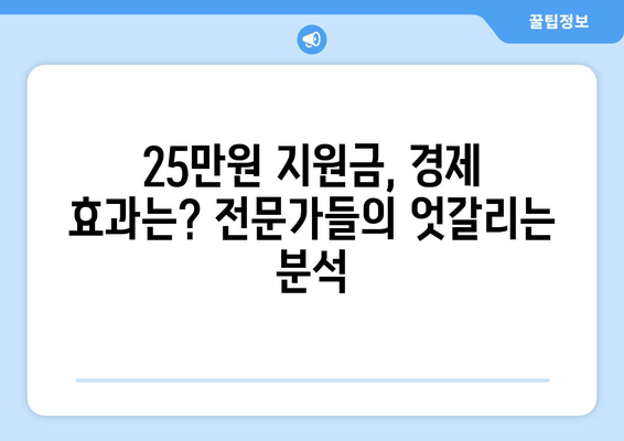 이재명의 25만원 민생 지원금법