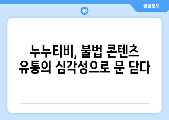 누누티비 서비스 종료 이유: 불법 콘텐츠 확산 억제