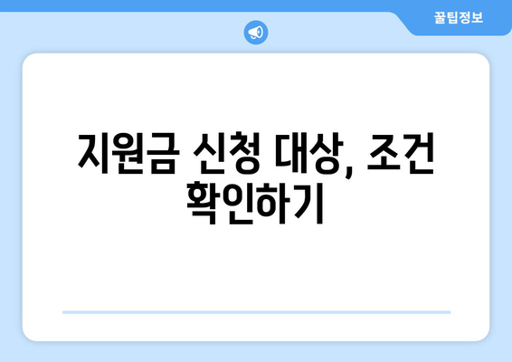 정부 민생 지원금 25만원 신청 자격