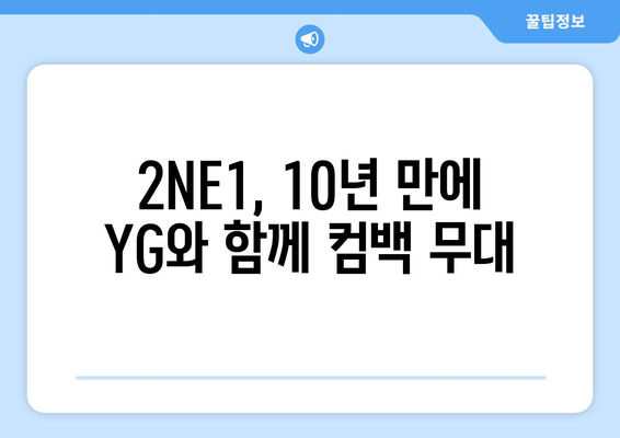 [최신] 10년만에 YG와 재회한 2NE1, 10월 15주년 기념 콘서트 열어