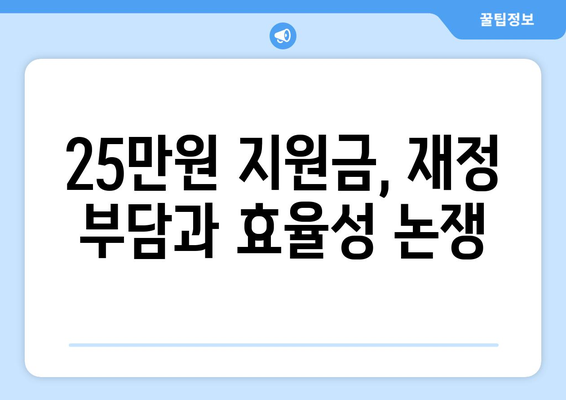 25만원 민생지원금과 경제 이슈 논의