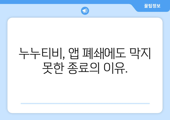 누누티비 종료 이유: 자체 앱 폐쇄에도 불구하고