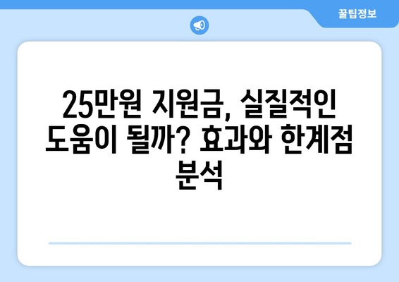 민생 회복 지원금의 실체: 1인당 25만 원 지원금