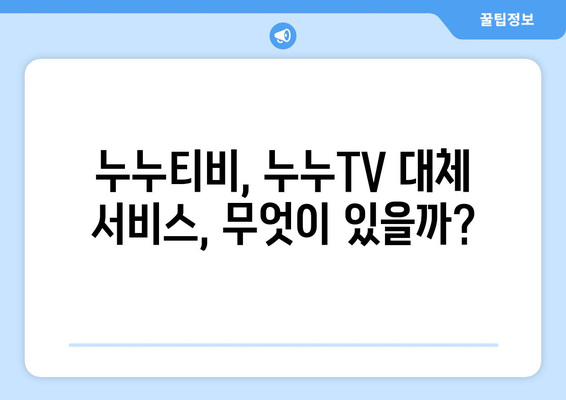 누누티비와 누누TV의 차이점 및 폐쇄 여부