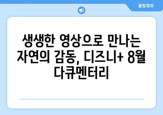 디즈니+ 8월 자연 다큐멘터리: 지구의 아름다움을 담다