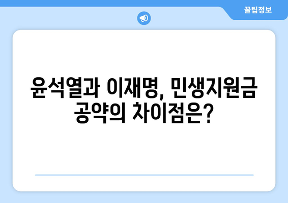 윤석열과의 차이: 이재명의 25만원 민생지원금 제안