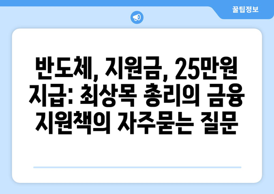 반도체, 지원금, 25만원 지급: 최상목 총리의 금융 지원책