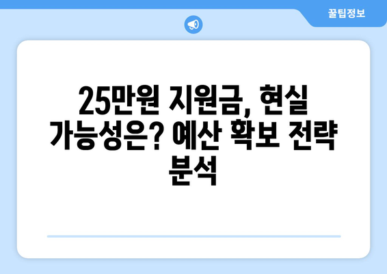 이재명의 국민당 25만원 지원금안