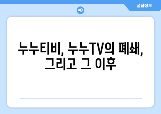 누누티비와 누누TV의 현황 및 불법성