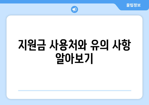 전국민 대상 지급되는 25만원 민생지원금: 자세한 설명