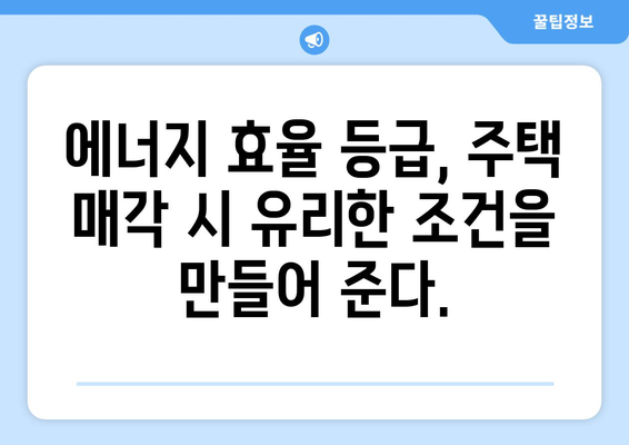 주택 에너지 효율 등급제: 부동산 가치 평가에 미치는 영향