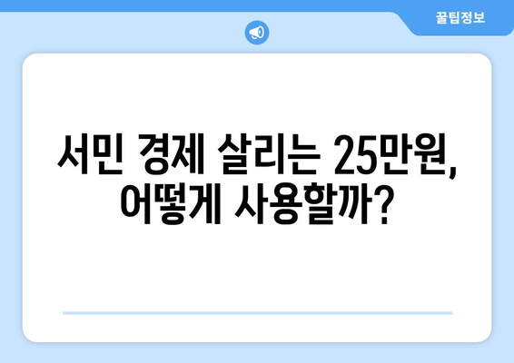 코로나19로 인해 경제에 도움이 되는 25만원 민생지원금