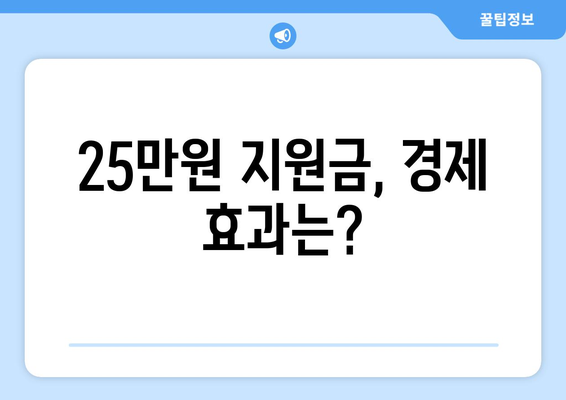 정부의 25만원 민생지원금 지급 정책 공개