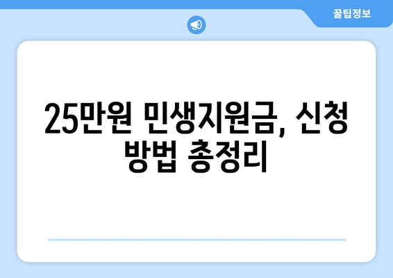 전국민에게 지급되는 25만원 민생지원금: 자세한 내용