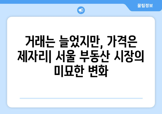 서울 부동산 시장 불균형: 거래량 증가와 가격 안정화의 딜레마