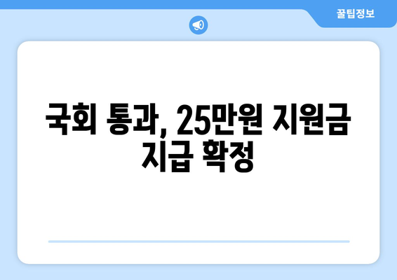 이재명의 전국민 25만원 지원금 국회통과