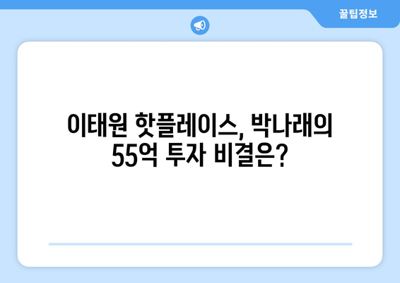 연예인 부동산 투자의 성공 요인: 박나래의 55억 이태원 주택 사례 종합 해설