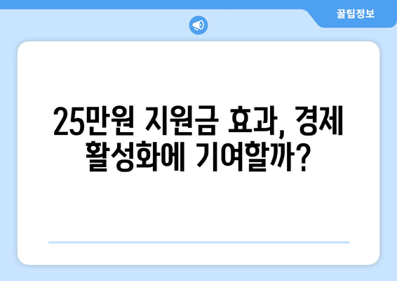 경제 이슈 분석: 25만원 민생지원금, 네이버 라인지 분매각 협상