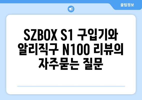 SZBOX S1 구입기와 알리직구 N100 리뷰