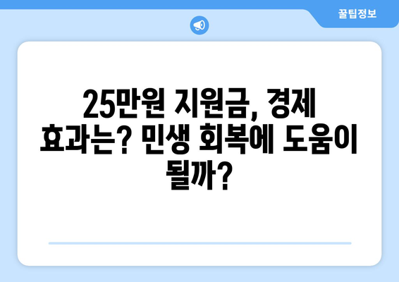 1인당 25만원 민생회복지원금 파헤치기