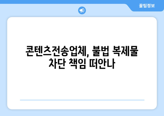 제2의 누누티비 막기 위한 콘텐츠전송업체 의무 부과