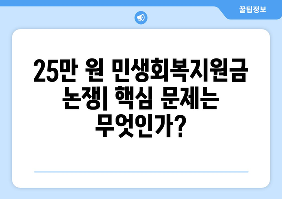 25만 원 민생회복지원금 논쟁: 핵심 문제는 무엇인가?