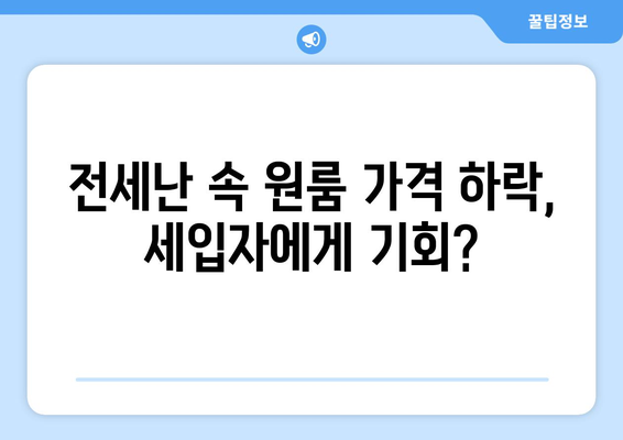 전월 대비 하락한 서울 원룸 가격: 그 원인과 영향