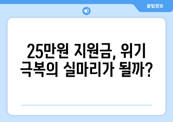 경제 실정에 따른 이재명의 25만원 민생 회복 지원금 제안