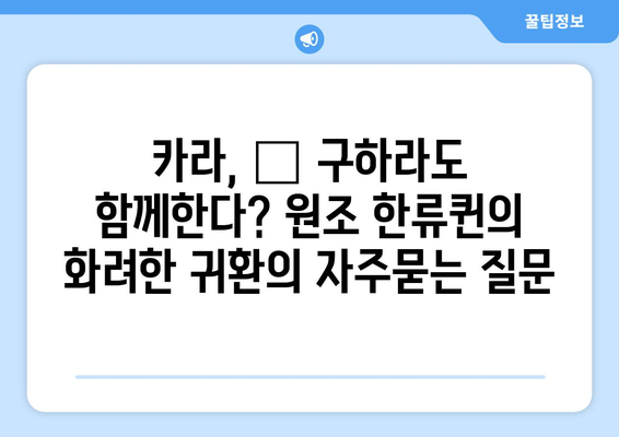 카라, 故 구하라도 함께한다? 원조 한류퀸의 화려한 귀환