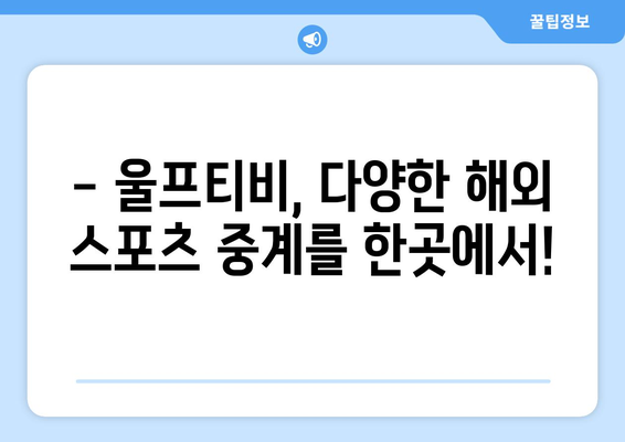 유로2024 중계, 해외 스포츠 중계, 울프티비