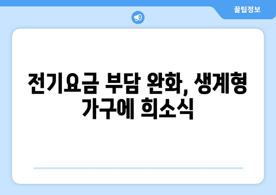 정부, 생계형 가구 전기요금 보조 강화: 1만5000원 추가 지원