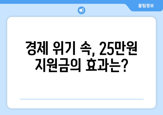 경제 실정에 따른 이재명의 25만원 민생 회복 지원금 제안