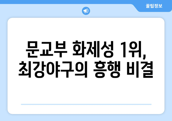 최강야구: 문교부 화제성 1위를 사로잡은 20대의 야구적 꿈