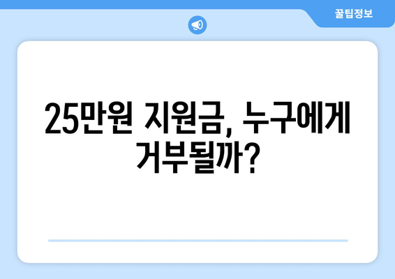 전국민 25만원 민생 지원금 신청, 거절 가능성