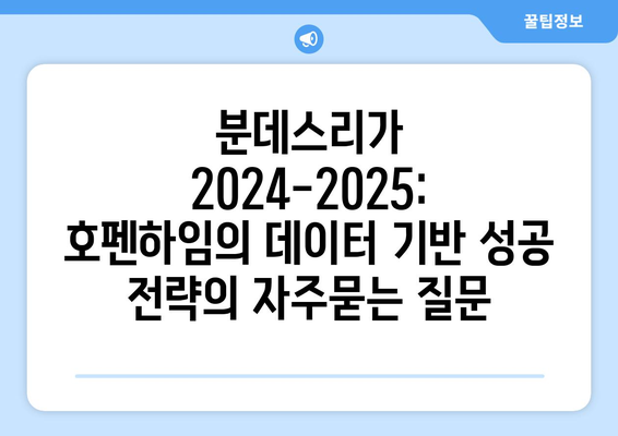 분데스리가 2024-2025: 호펜하임의 데이터 기반 성공 전략