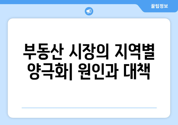 부동산 시장의 지역별 양극화: 원인과 대책