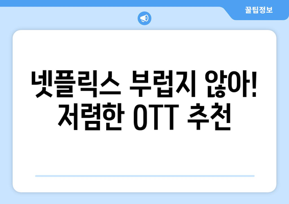 누누티비 대신 한 달에 4,000원으로 OTT를 시청할 수 있는 곳