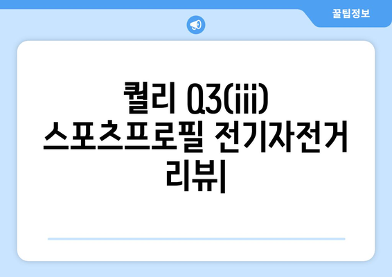 노블티비: 퀄리 Q3(iii) 스포츠프로필 전기자전거 리뷰