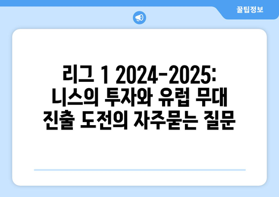 리그 1 2024-2025: 니스의 투자와 유럽 무대 진출 도전