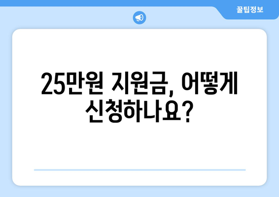 민생 지원금 25만원?