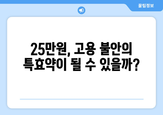 고용 불안 개선을 위한 25만원: 실업률 감소의 처방전인가 속수무책의 변명인가?