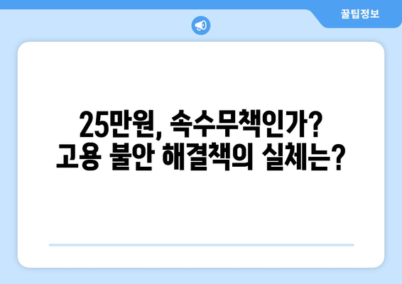 고용 불안 개선을 위한 25만원: 실업률 감소의 처방전인가 속수무책의 변명인가?