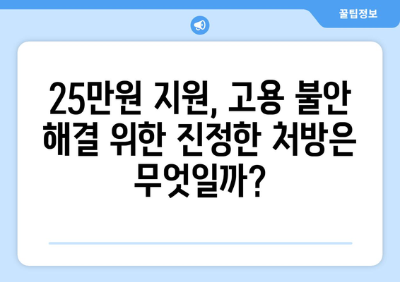 고용 불안 개선을 위한 25만원: 실업률 감소의 처방전인가 속수무책의 변명인가?