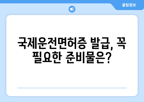 국제운전면허증 발급 준비물과 신청 절차, 간편 가이드