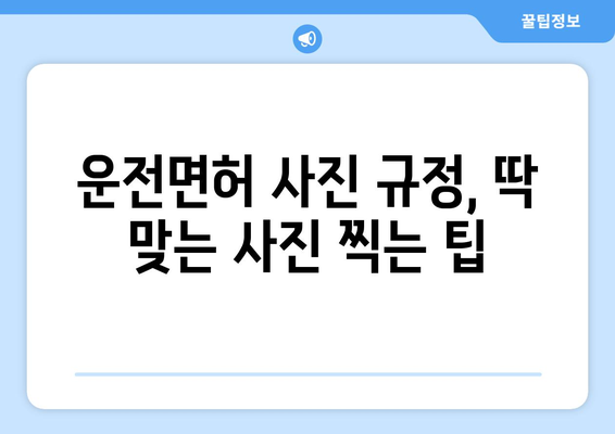 운전면허 갱신, 사진 변경 방법 및 온라인 신청 팁